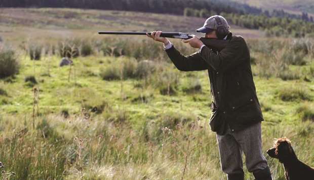 A hunter takes part in the grouse shooting season in Kirriemuir, Scotland.