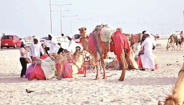 Camel rides are one of the attractions at the Sealine Beach.