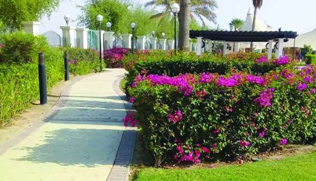 Al Sheehaniya desert garden is set to welcome visitors.