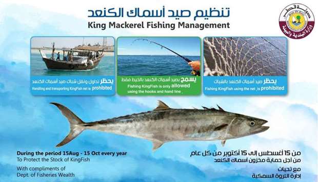 Ministry bans catching Kingfish using net
