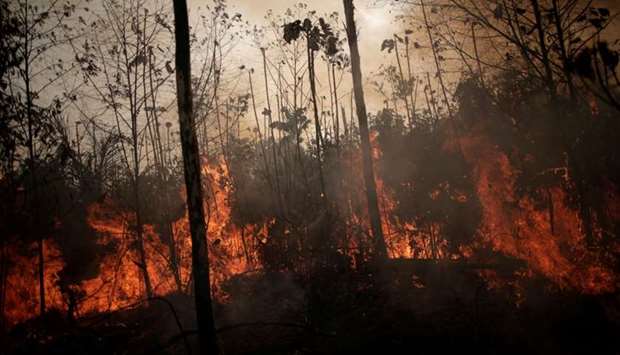 A burning tract of Amazon jungle is seen while as it is being cleared by loggers and farmers in Porto Velho, Brazil