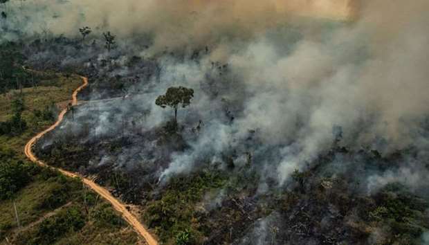 Smoke billowing from fires in the forest in the Amazon biome in the municipality of Altamira
