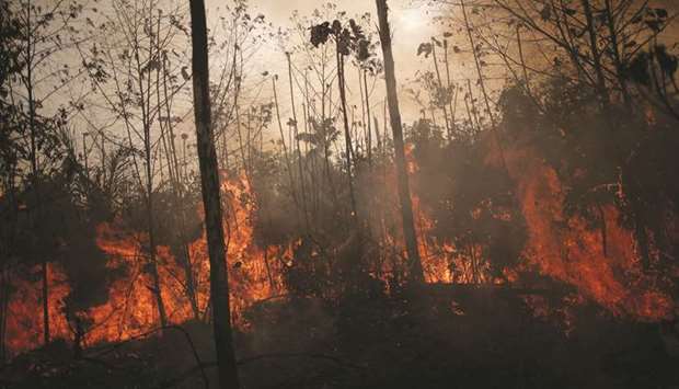 A tract of the Amazon jungle burns while being cleared by loggers and farmers in Porto Velho.