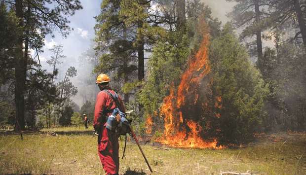 A firefighter from The New Mexico Inmate Work Camp Program stands by during a controlled burn in Gallina, New Mexico.