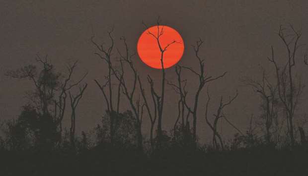 The sun sets behind burnt trees of the Amazon rainforest, south of Porto Velho (file). The 2.5mn square-mile Amazon is being attacked on all sides, with fires claiming an area equivalent to dozens of soccer pitches every hour in Brazil alone. At the deforestation rates seen in recent years, the whole forest will lose an area about the size of Virginia over the next decade according to Michael T Coe, senior scientist at the Woods Hole Research Center.