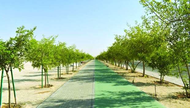 Al-Badr: the project included the construction of pedestrian and cycle paths along Al Ennabi Street.