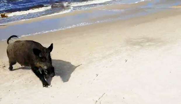 Representative image