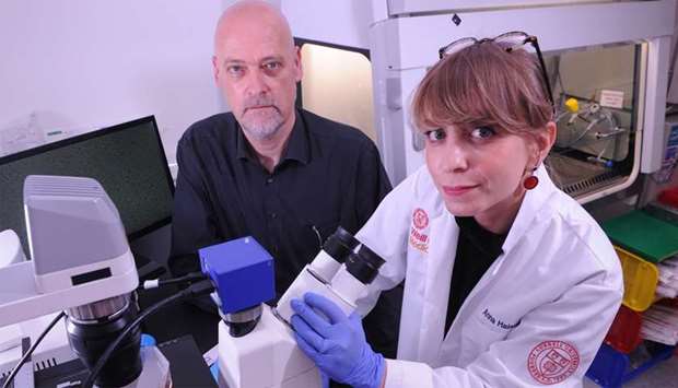 WCM-Q research sheds new light on treatment-resistant cancers