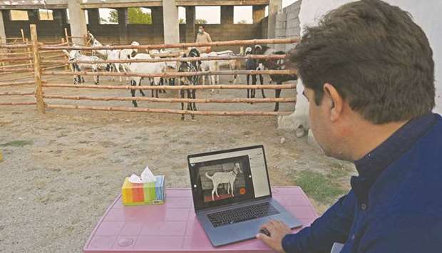 In this picture taken on July 22, Mohamed Naeem, who runs a website that sells goats online to customers, uploads a picture of goat ahead of the Eid al-Adha, at a farm in Islamabad.