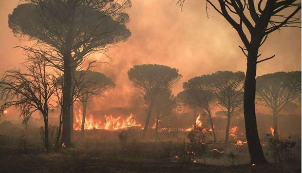 Flames rise as light from the setting sun is filtered through during a wildfire, near Gonfaron, in the department of Var, southern France, yesterday. (AFP)
