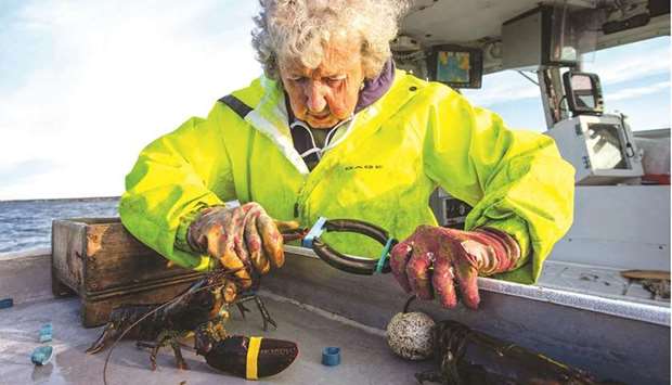Virginia Oliver bands a lobstersu2019 claws before she puts it in the hold as she and her son haul in lobster traps in Penobscot Bay in Maine. (AFP)