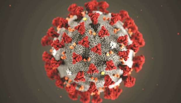 Coronavirus structure