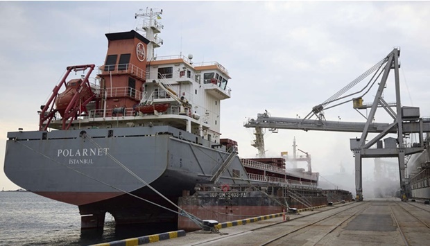 In this photo provided by the Ukrainian Presidential Press Office, a Turkish Polarnet cargo ship is loading Ukrainian grain in a port in the Odesa region.