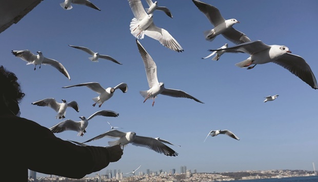 A man feeds seagulls as he travels on a ferry over the Bosphorus in Istanbul. Tourism revenues are vital to Turkeyu2019s economy as the economic plan focuses on expanding the current account surplus in order to tackle high inflation and interest rates.