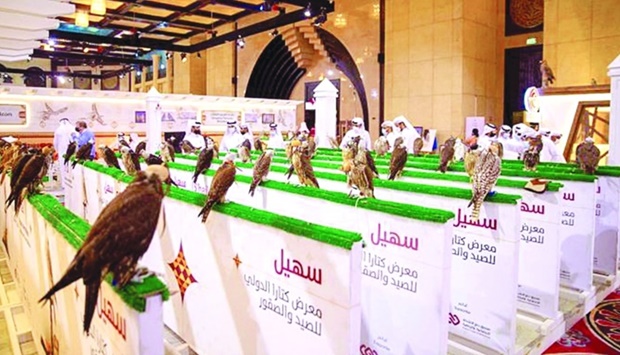 A file picture of falcons on display at a previous edition of Suhail
