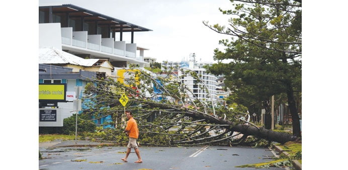 A resident walks past a fallen tree brought down by Tropical Cyclone Marcia in the northern Queensland town of Yeppoon yesterday.