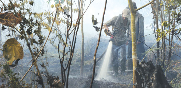 Indonesian workers from a palm oil concession company extinguish a forest fire in Kampar district, Riau province.