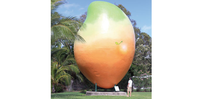 This undated photo released yesterday by the Bowen Tourism Centre of a tourist standing next to a 10m mango monument.