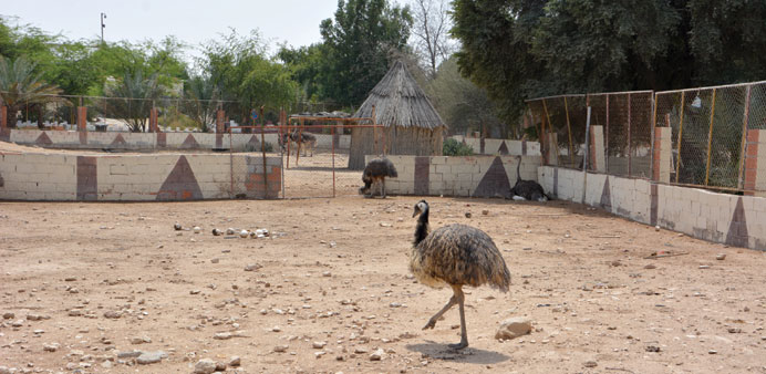 The Al Dosari Zoo houses several animal and bird species.
