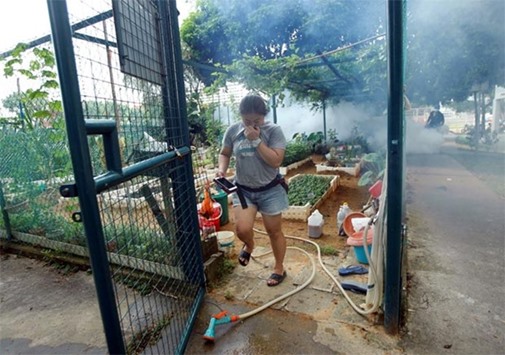 A resident leaves a community garden as a worker fogs the area at a new Zika cluster