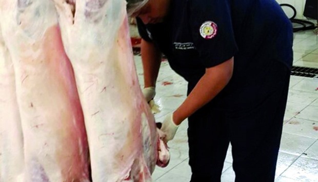 An official from municipality conducts an inspection at a slaughterhouse