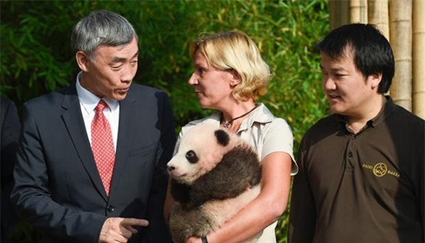 Chinese Ambassador to Belgium Xing Qu (left) stands next to zookeeper Tania Stroobant as she holds three-month-old baby panda Tian Bao during a press conference in Brugelette, Belgium on Thursday.