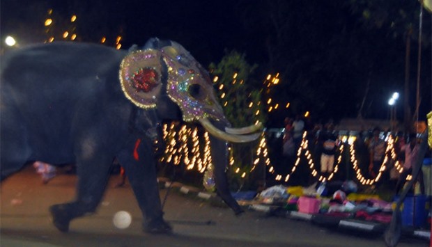 An elephant running amok in the temple compound. Photo captured by one of the spectators. Picture courtesy: Colombo Gazette