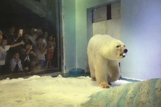 This picture taken on July 24 shows visitors taking pictures of polar bear Pizza.