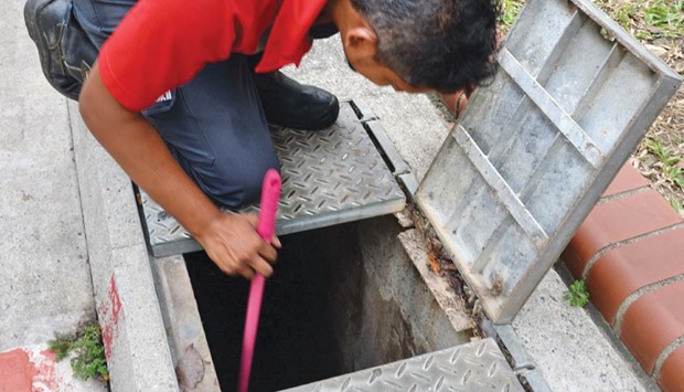 A pest control worker checks for mosquitoes breeding in the drain at Bedok North housing estate in Singapore. Authorities have widened the area of fumigation.