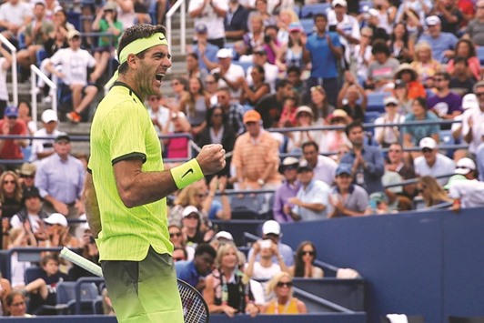 Argentinau2019s Juan Martin del Potro celebrates after beating Spainu2019s David Ferrer 7-6 (3), 6-2, 6-3 on day six of the US Open at USTA Billie Jean King National Tennis Center in New York on Saturday. (USA TODAY Sports)