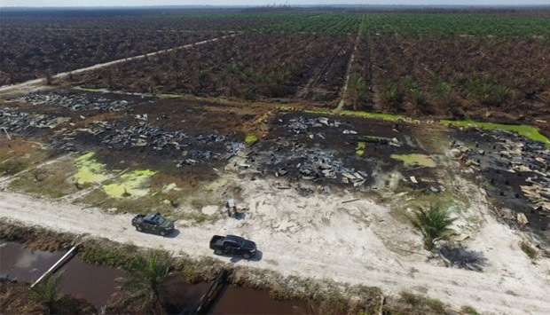 Aerial view shows the destruction caused by a forest fire at a palm oil plantation
