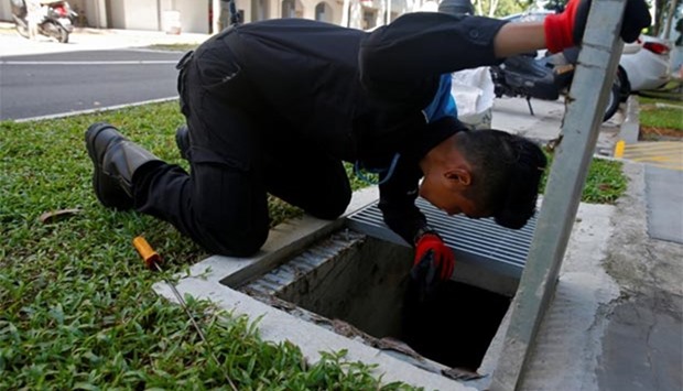 A member of a pest control team inspects drains at a Zika cluster in Singapore.