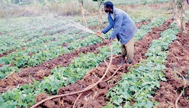 Irrigation on rise in Africa