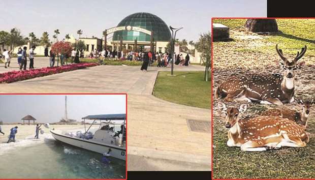 MAIN: Al Khor Family Park received a large number of visitors during the Eid al-Adha holidays. BELOW LEFT: Cleaning in progress on Al Sharaawah Island. RIGHT: The mini zoo at Al Khor Park was a major attraction among the visitors.