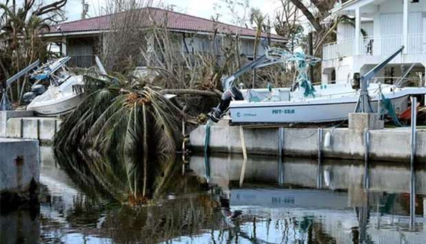 Toppled trees and boats raised out of the water are seen in the Atlantis Estates neighbourhood on Big Pine Key, Florida.