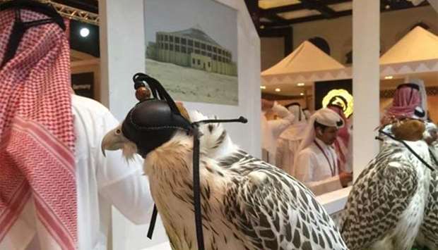 Visitors will be introduced to different falcon species at the event.