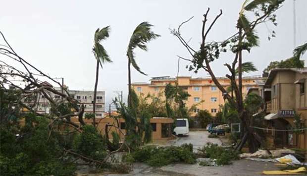 Trees knocked down by strong winds of Hurricane Maria are pictured in Punta Cana, Dominican Republic, on Thursday.