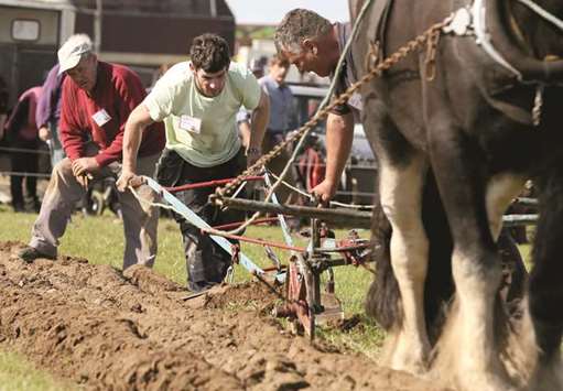 Farmers take part in the National Ploughing Championships.