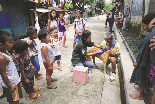 A member of Humane Society International (HSI) administers the anti-rabies vaccine on a dog as part of their mass vaccination drive in commemoration of the World Rabies Day in Payatas, Metro Manila, yesterday.