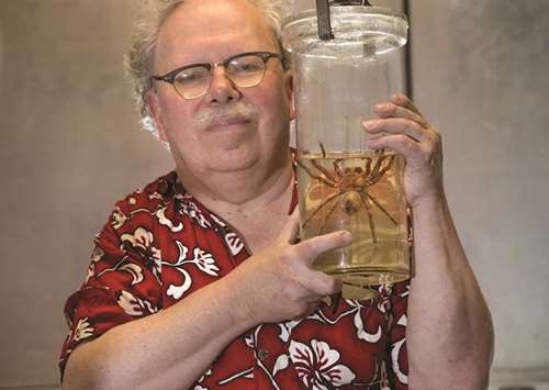ON A MISSION: Rod Crawford, spider expert at the Burke Museum, holds the Goliath bird eater (Theraphosa blondi), a specimen found in 1934 in a Seattle produce warehouse, at the University of Washington.