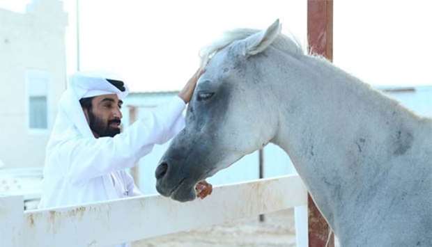 Many young Qatari men love to keep horses. PICTURE: Ram Chand