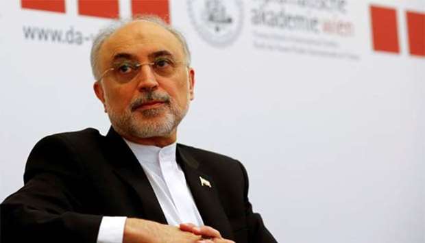 Head of the Iranian Atomic Energy Organisation Ali Akbar Salehi.