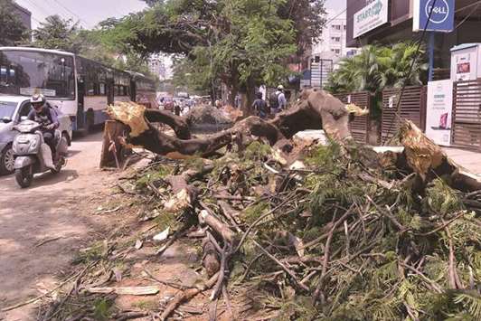 Vehicles pass by a road where trees were uprooted following rains, in Bengaluru yesterday.