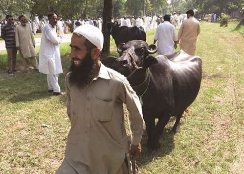 A successful bidder leaves with his buffalo during an auction at the premises of the Prime Minister House in Islamabad yesterday.