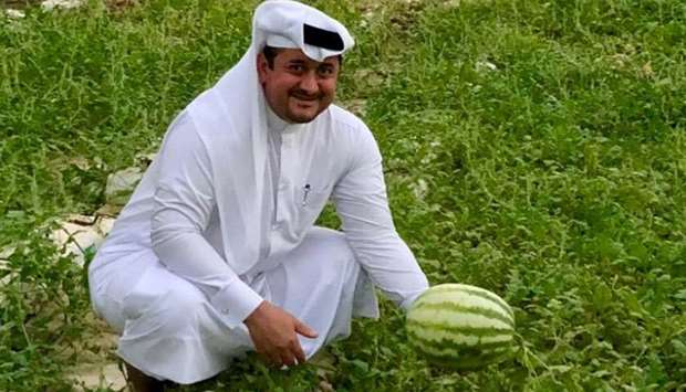 Prominent Qatari agriculturist Nasser Ahmed al-Khalaf showing the watermelons in his farm near Al Khor.