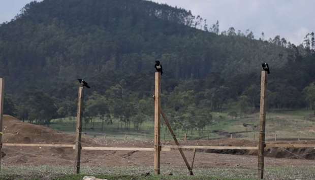 Birds sit on a fenced Ethiopian Airlines Flight ET 302 crash site in Dhaka Bora kebele, near Bishoftu, Ethiopia . July 8, 2019