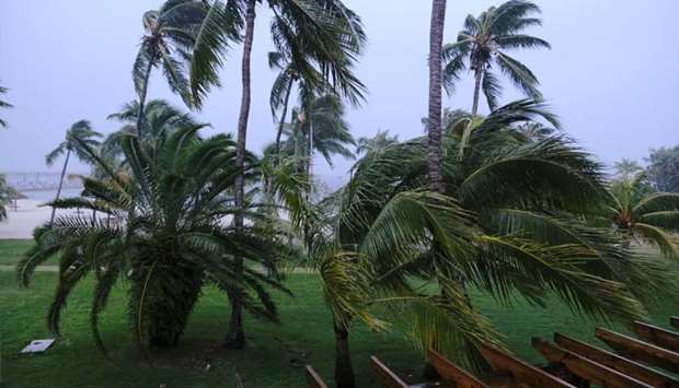 Palm trees blow in the wind during the arrival of Hurricane Dorian in Marsh Harbour, the Great Abaco Island, Bahamas