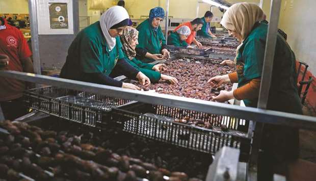 Palestinians work in a dates packaging company owned by a fellow Palestinian in the Jordan Valley village of Jiftlik in the occupied West Bank, yesterday.