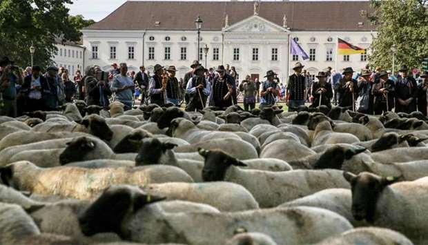 Shepherds drive a herd of sheep in front of Bellevue presidental palce in Berlin to protest falling prices in their industry