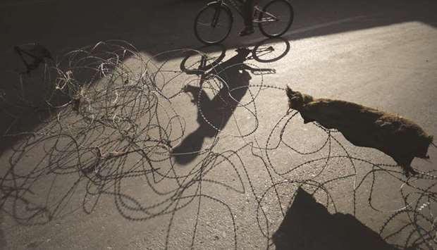 A man rides a bicycle past concertina wire during restrictions in Srinagar yesterday.